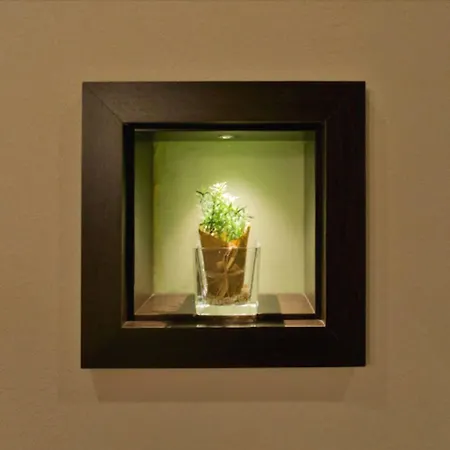 - Restaurant Sonneneck 3* Dornstetten