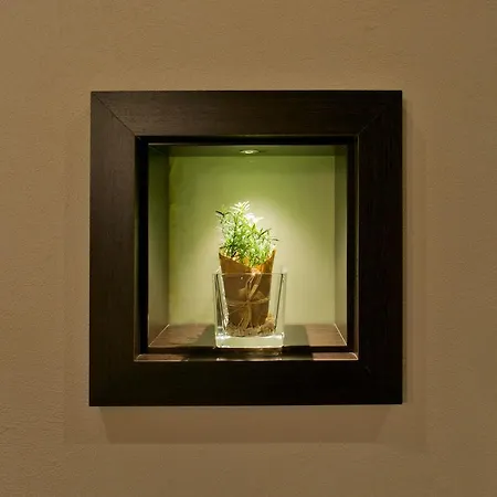 - Restaurant Sonneneck 3* Dornstetten