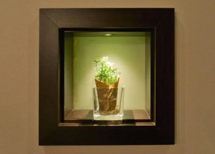 - Restaurant Sonneneck 3* Dornstetten